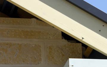 soffit repair Forestdale
